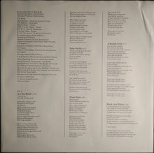 Load image into Gallery viewer, Ashton (4) : Modern Pilgrims (LP, Album)