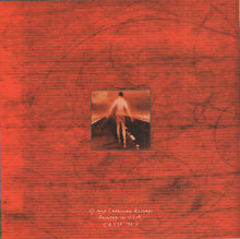 Load image into Gallery viewer, Freddy Jones Band* : Lucid (CD, Album)