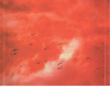 Load image into Gallery viewer, Freddy Jones Band* : Lucid (CD, Album)