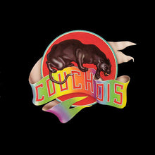 Load image into Gallery viewer, Couchois : Couchois (LP, Album, Win)