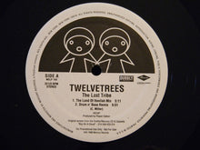 Load image into Gallery viewer, Twelvetrees : The Lost Tribe (12&quot;, Promo)