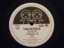 Load image into Gallery viewer, Twelvetrees : The Lost Tribe (12&quot;, Promo)