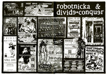 Load image into Gallery viewer, Robotnička* / Divide + Conquer* : Split Lp (LP)