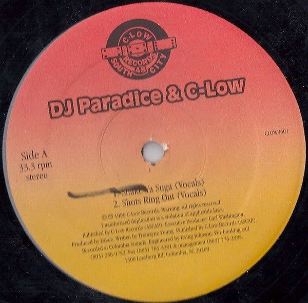 Dj Paradice & C-Low : Shake Ya Suga (12