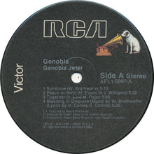 Load image into Gallery viewer, Genobia Jeter : Genobia (LP, Album)