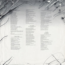 Load image into Gallery viewer, Farrell &amp; Farrell* : Jump To Conclusions (LP, Album, ELA)