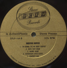 Load image into Gallery viewer, Roy Orbison And Bristow Hopper : Orbiting With (LP)
