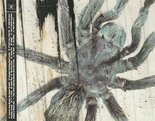 Load image into Gallery viewer, Mystikal : Tarantula (CD, Album)