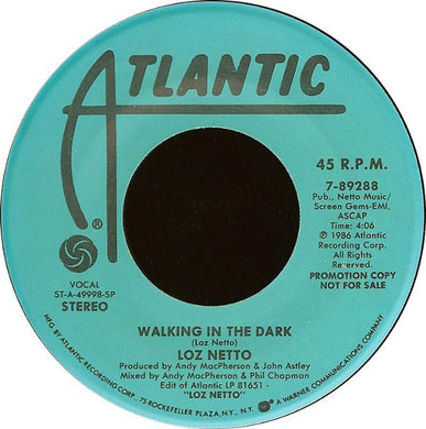 Loz Netto : Walking In The Dark (7