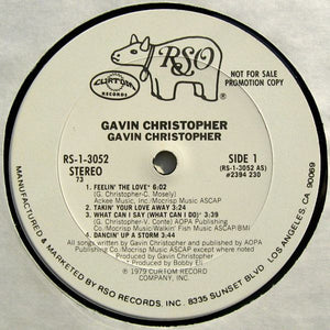 Gavin Christopher : Gavin Christopher (LP, Album, Promo)