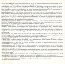 Load image into Gallery viewer, David Miles Huber : Mountain Serenity (CD, Album)