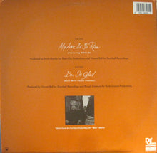 Load image into Gallery viewer, Alyson Williams Featuring Nikki D : My Love Is So Raw (12&quot;)