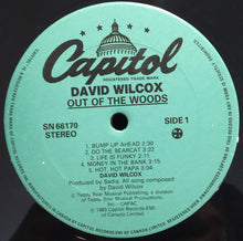 Load image into Gallery viewer, David Wilcox (2) : Out Of The Woods (LP, Album, RE)