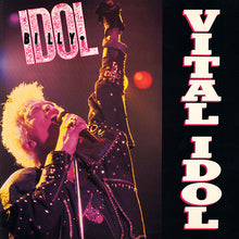 Load image into Gallery viewer, Billy Idol : Vital Idol (LP, Comp)