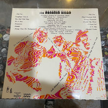 Load image into Gallery viewer, The Beatnik Flies : From Parts Unknown (LP, Album)