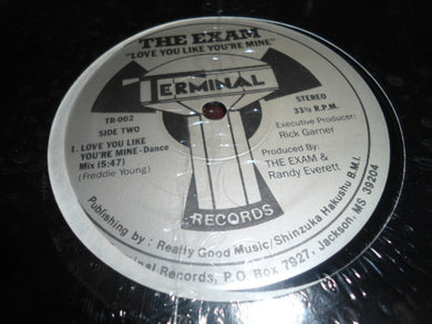 The Exam (2) : Love You Like You're Mine (12