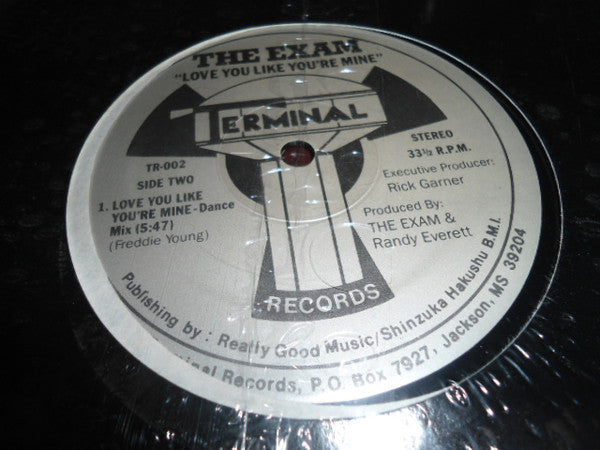 The Exam (2) : Love You Like You're Mine (12