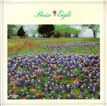 Load image into Gallery viewer, Maranatha! Singers* : Praise Eight (LP, Album)