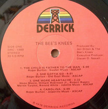 Load image into Gallery viewer, The Bee's Knees : The Bee's Knees (LP, Album)