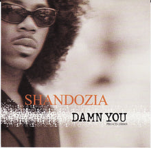 Load image into Gallery viewer, Shandozia : Damn You (CD, Single, Promo)