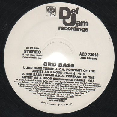 3rd Bass : 3rd Bass Theme A.K.A. Portrait Of The Artist As A Hood (12