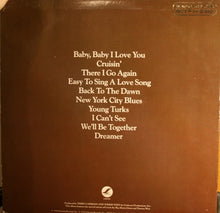 Load image into Gallery viewer, Terry Cashman : Terry Cashman (LP, Album)