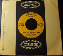 Load image into Gallery viewer, Johnny Nash : I Can See Clearly Now / How Good It Is (7&quot;, Single)