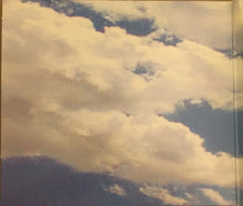 Load image into Gallery viewer, Neil Young : Are You Passionate? (CD, Album, Car)