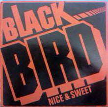 Load image into Gallery viewer, Black Bird (5) : Nice &amp; Sweet (12&quot;)