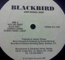 Load image into Gallery viewer, Black Bird (5) : Nice &amp; Sweet (12&quot;)