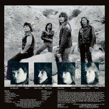 Load image into Gallery viewer, Valor (4) : Fight For Your Life (LP, Album)