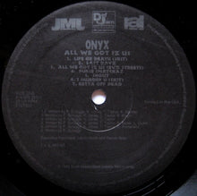 Load image into Gallery viewer, Onyx : All We Got Iz Us (LP, Album)