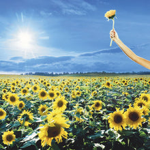 Load image into Gallery viewer, Stone Temple Pilots : Thank You (CD, Comp, RE)