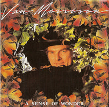 Load image into Gallery viewer, Van Morrison : A Sense Of Wonder (CD, Album)