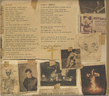 Load image into Gallery viewer, John Mellencamp* : Freedom&#39;s Road (CD, Album, Car)