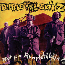 Load image into Gallery viewer, Rumpletilskinz : What Is A Rumpletilskin? (LP, Album)