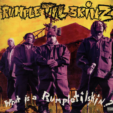 Rumpletilskinz : What Is A Rumpletilskin? (LP, Album)