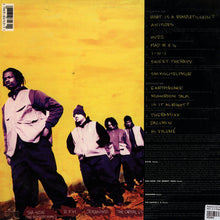 Load image into Gallery viewer, Rumpletilskinz : What Is A Rumpletilskin? (LP, Album)