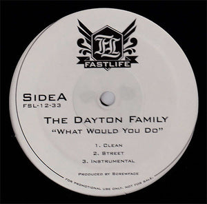 The Dayton Family : What Would You Do (12", Promo)