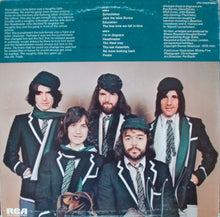 Load image into Gallery viewer, The Kinks : Schoolboys In Disgrace (LP, Album)
