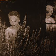 Load image into Gallery viewer, CocoRosie : Tales Of A Grasswidow (LP, Album)