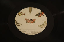 Load image into Gallery viewer, CocoRosie : Tales Of A Grasswidow (LP, Album)
