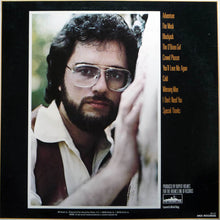 Load image into Gallery viewer, Rupert Holmes : Adventure (LP, Album)