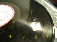 Load image into Gallery viewer, Mountain : Flowers Of Evil (LP, Album)