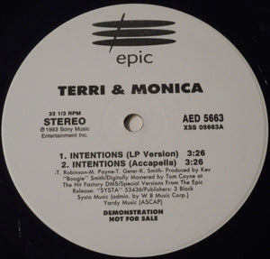 Terri & Monica : Intentions (12", Promo)