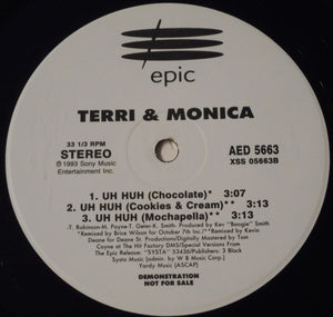 Terri & Monica : Intentions (12", Promo)