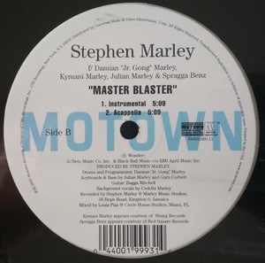 Stephen Marley : Master Blaster (12")