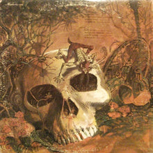 Load image into Gallery viewer, Savoy Brown : Looking In (LP, Album, Aud)