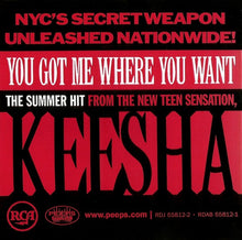 Load image into Gallery viewer, Keesha : You Got Me Where You Want (CD, Single, Promo)