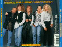 Load image into Gallery viewer, REO Speedwagon : Building The Bridge (CD, Album)